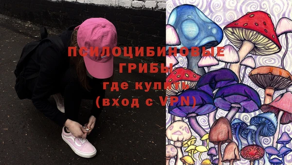 героин Алзамай